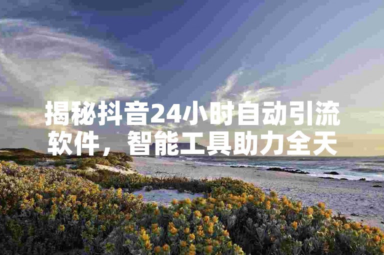 揭秘抖音24小时自动引流软件，智能工具助力全天候推广，2025年必备技能！