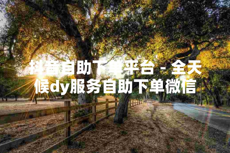 抖音自助下单平台 - 全天候dy服务自助下单微信