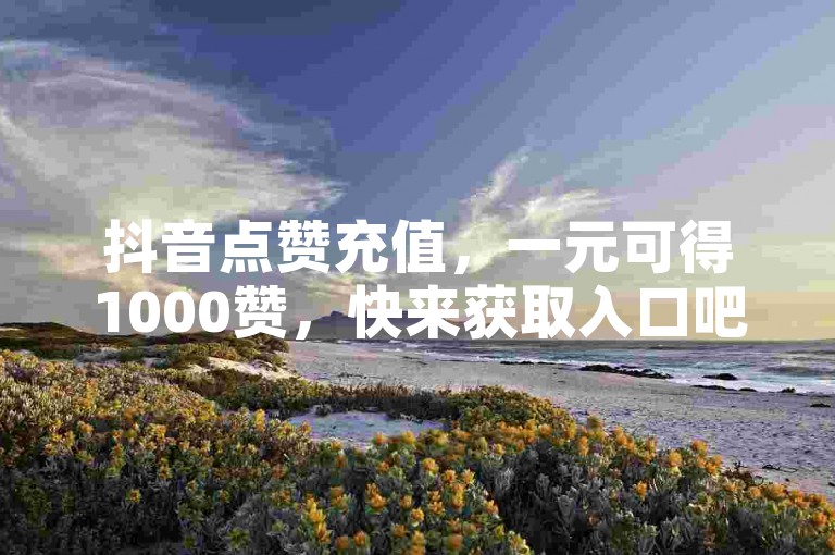 抖音点赞充值，一元可得1000赞，快来获取入口吧。