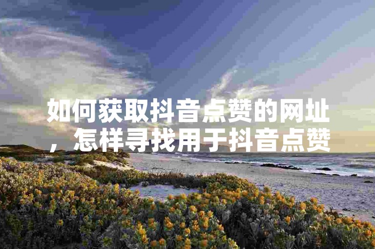 如何获取抖音点赞的网址，怎样寻找用于抖音点赞的网站链接？