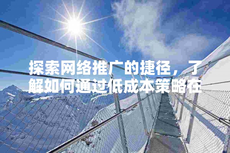 探索网络推广的捷径，了解如何通过低成本策略在抖音和快手上迅速增加点赞与粉丝。
