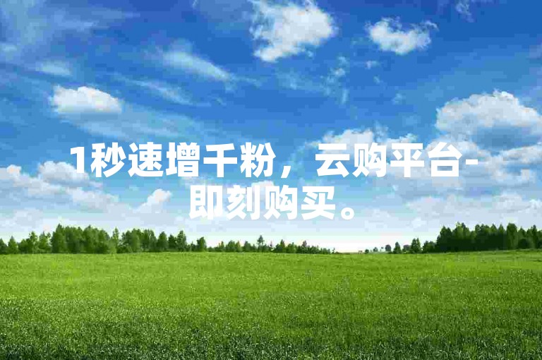 1秒速增千粉，云购平台-即刻购买。