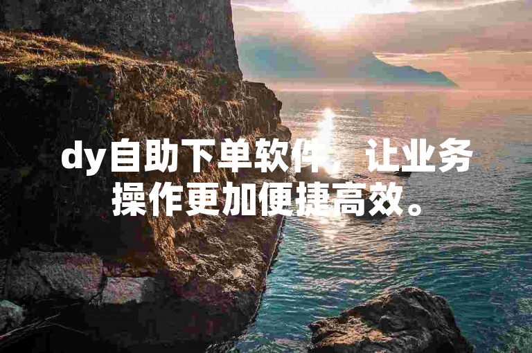 dy自助下单软件，让业务操作更加便捷高效。