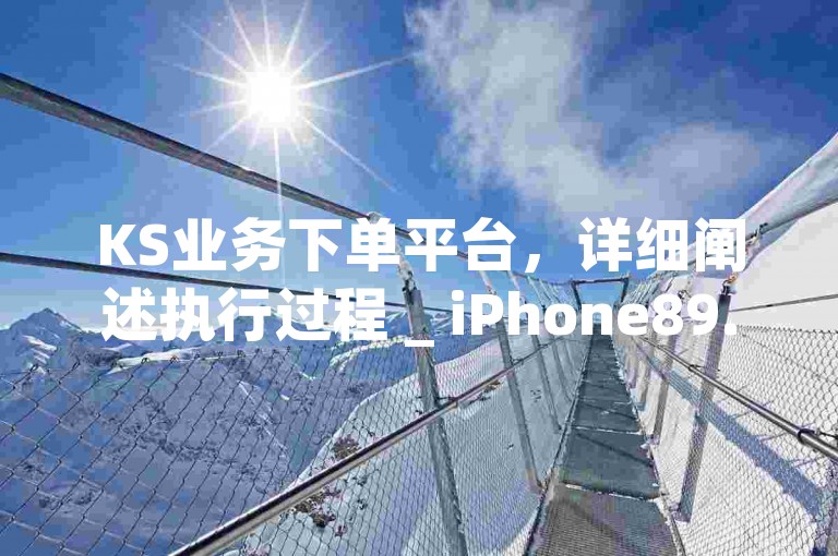 KS业务下单平台，详细阐述执行过程 _ iPhone89.7.55