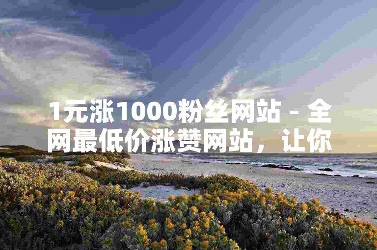1元涨1000粉丝网站 - 全网最低价涨赞网站，让你的社交媒体影响力迅速提升！