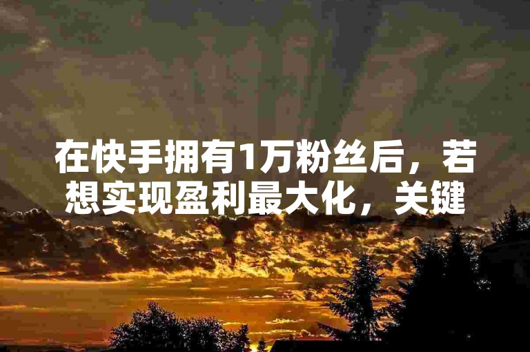 在快手拥有1万粉丝后，若想实现盈利最大化，关键在于精准定位内容方向，积极与品牌合作，并充分利用直播带货等多种变现渠道。