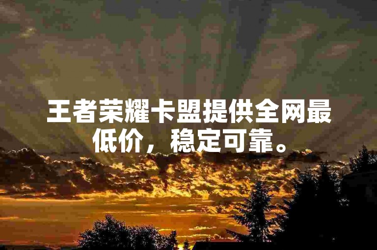 王者荣耀卡盟提供全网最低价，稳定可靠。