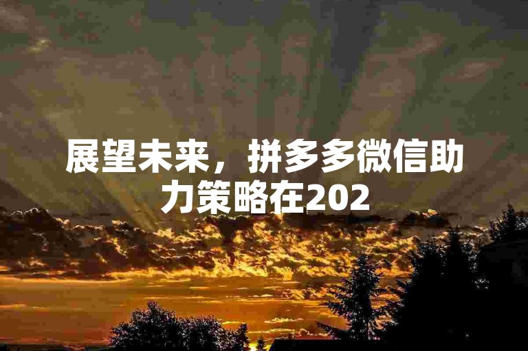 展望未来，拼多多微信助力策略在2025年的影响力与发展前景