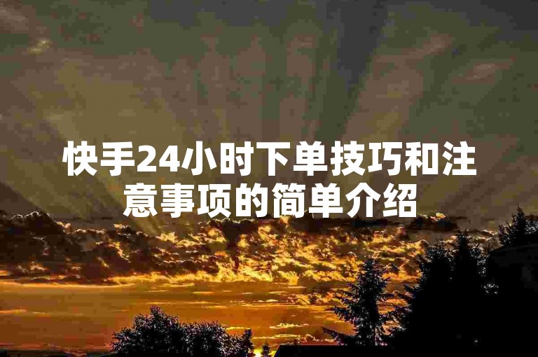快手24小时下单技巧和注意事项的简单介绍