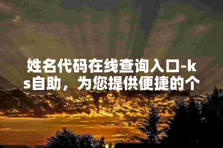 姓名代码在线查询入口-ks自助，为您提供便捷的个人身份信息核实服务。