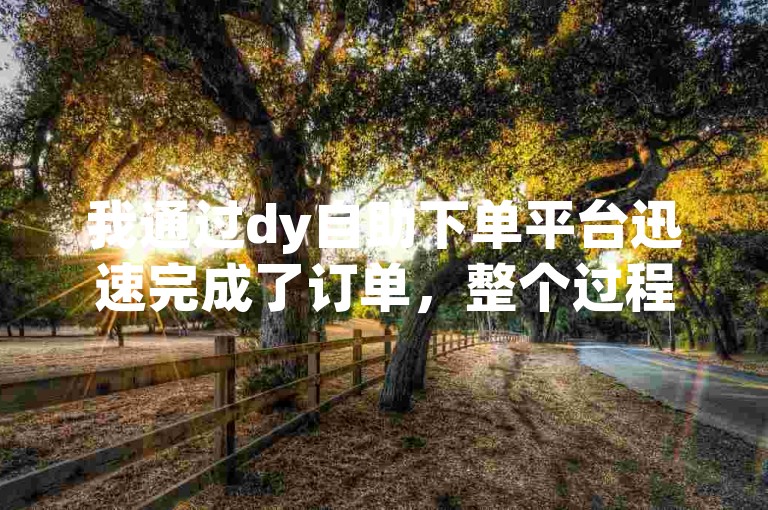 我通过dy自助下单平台迅速完成了订单，整个过程非常便捷。