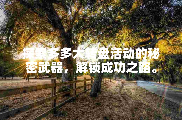探索多多大转盘活动的秘密武器，解锁成功之路。