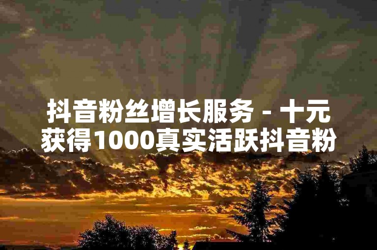 抖音粉丝增长服务 - 十元获得1000真实活跃抖音粉丝。