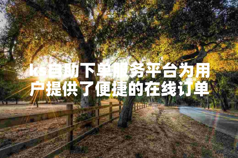 ks自助下单服务平台为用户提供了便捷的在线订单处理体验。