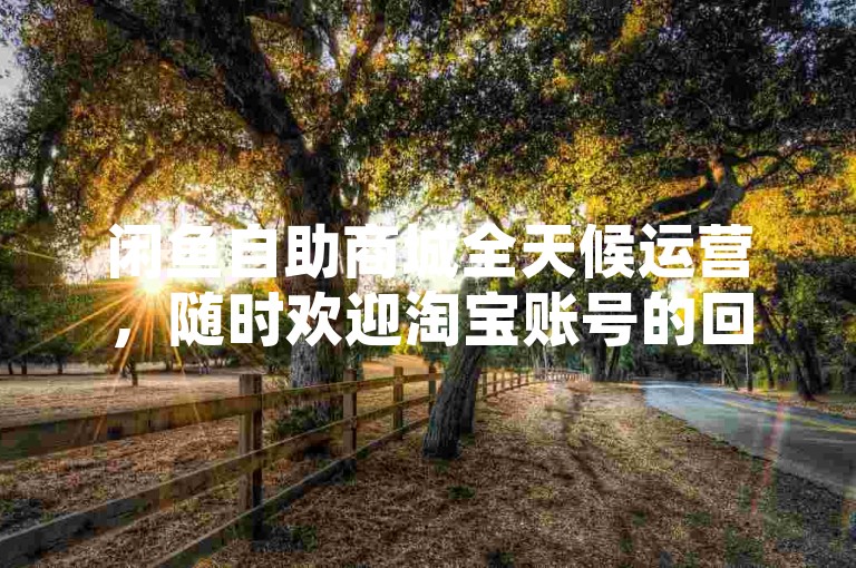 闲鱼自助商城全天候运营，随时欢迎淘宝账号的回收交易。