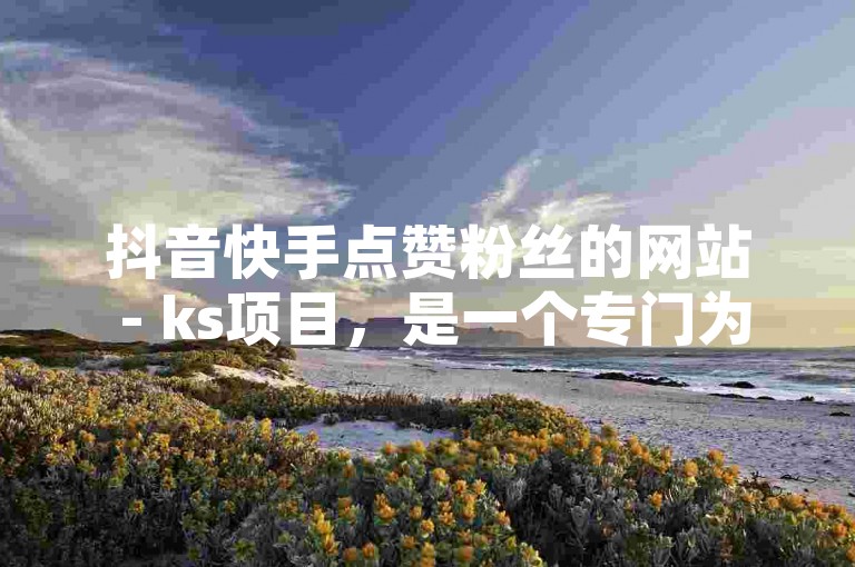 抖音快手点赞粉丝的网站 - ks项目，是一个专门为抖音和快手用户提供点赞、粉丝增长等服务的平台。