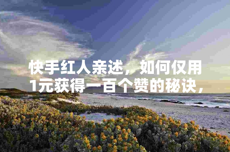 快手红人亲述，如何仅用1元获得一百个赞的秘诀，2025年必备技巧！