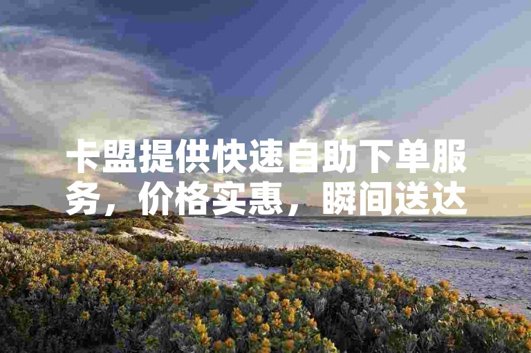 卡盟提供快速自助下单服务，价格实惠，瞬间送达（卡盟-极速自助下单，低价即时享受）。