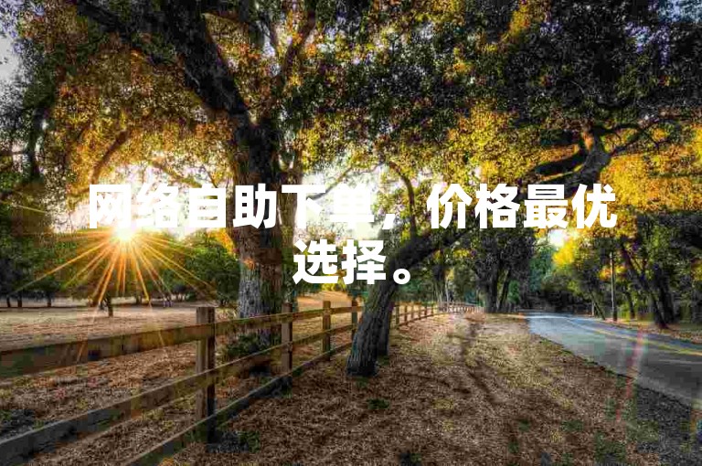 网络自助下单，价格最优选择。