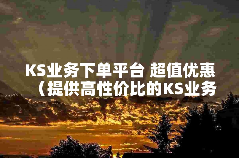 KS业务下单平台 超值优惠（提供高性价比的KS业务下单新选择）