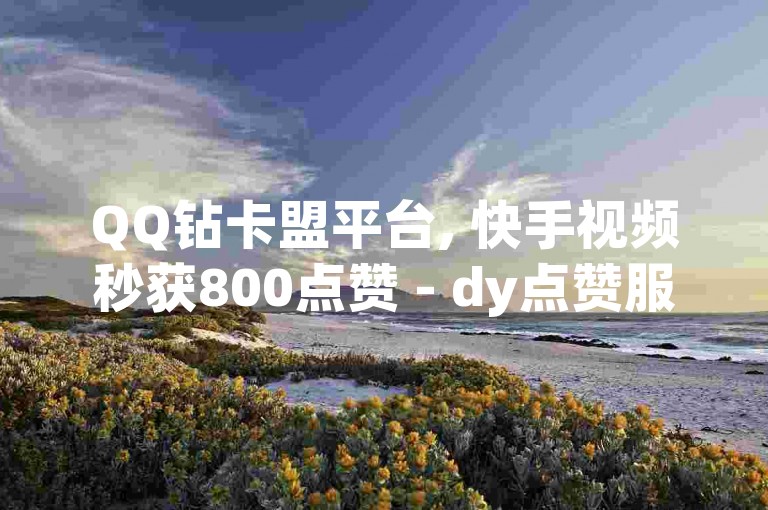 QQ钻卡盟平台, 快手视频秒获800点赞 - dy点赞服务 - 抖音快手全天候自助下单