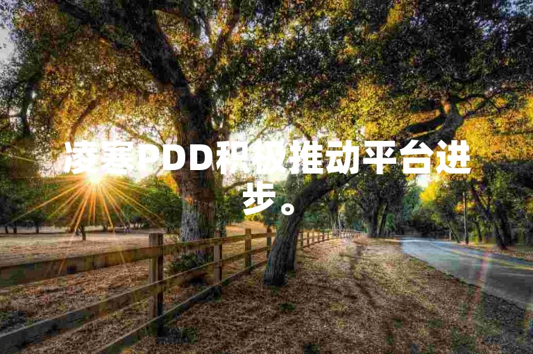 凌寒PDD积极推动平台进步。