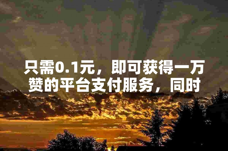 只需0.1元，即可获得一万赞的平台支付服务，同时每天还可免费获得50个微博粉丝。