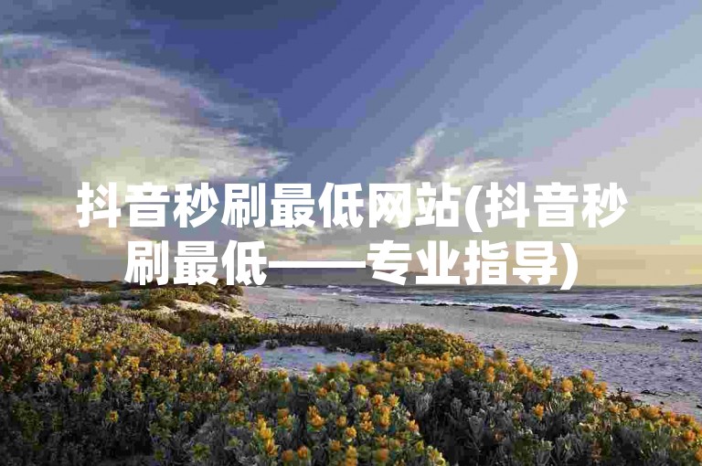 抖音秒刷最低网站(抖音秒刷最低——专业指导)