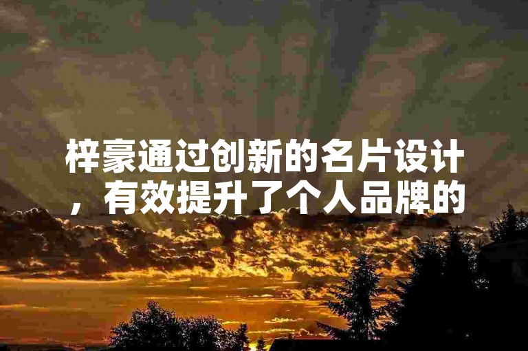 梓豪通过创新的名片设计，有效提升了个人品牌的影响力。