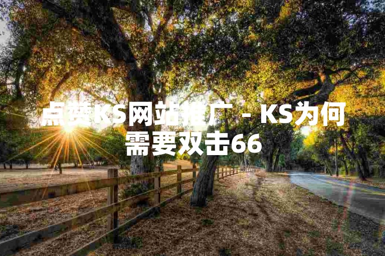 点赞KS网站推广 - KS为何需要双击66
