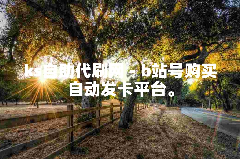 ks自助代刷网 - b站号购买自动发卡平台。