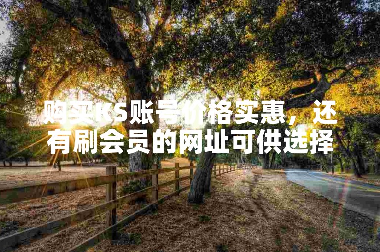 购买KS账号价格实惠，还有刷会员的网址可供选择。