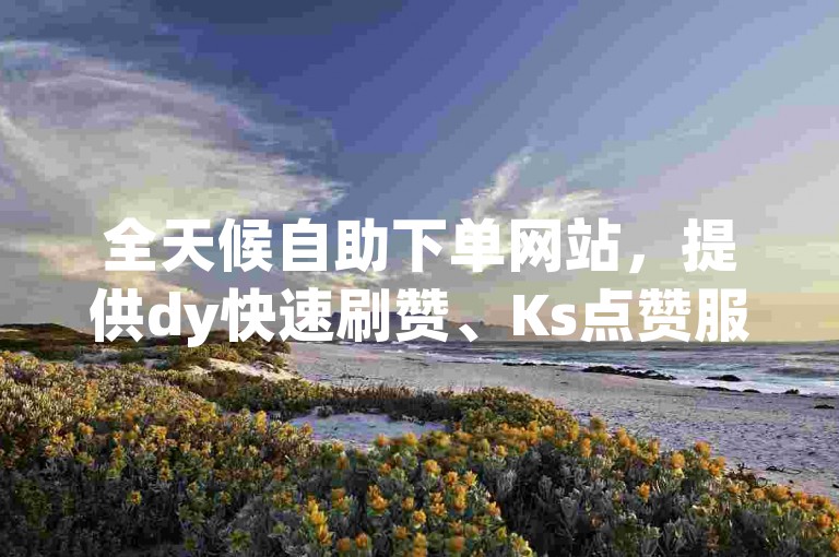 全天候自助下单网站，提供dy快速刷赞、Ks点赞服务及QQ空间人气加速，独家资源助力网络热度飙升。