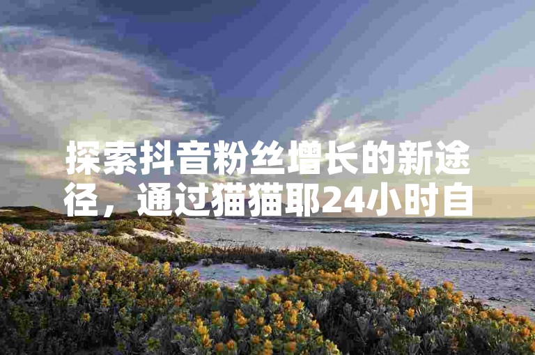 探索抖音粉丝增长的新途径，通过猫猫耶24小时自助平台，体验快手点赞服务的便捷与高效。
