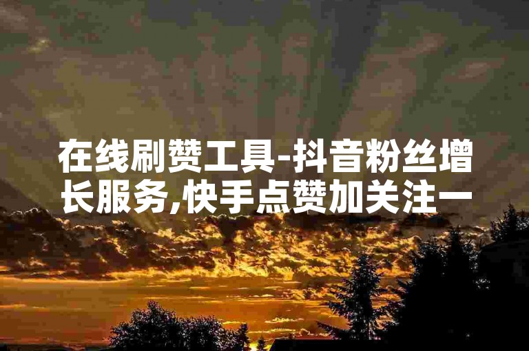 在线刷赞工具-抖音粉丝增长服务,快手点赞加关注一站式解决方案