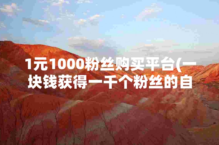 1元1000粉丝购买平台(一块钱获得一千个粉丝的自助服务，价格最优)