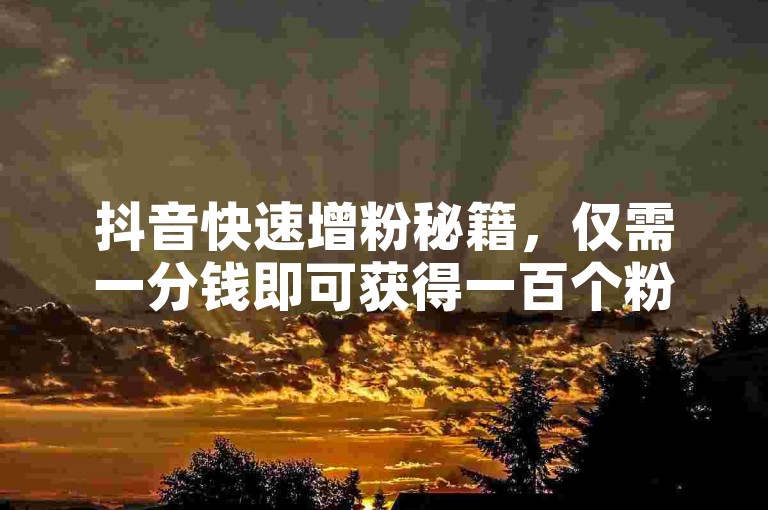抖音快速增粉秘籍，仅需一分钱即可获得一百个粉丝。