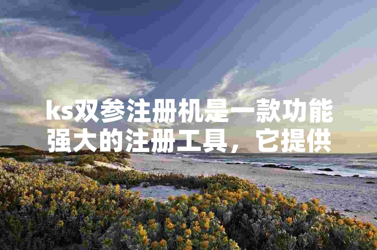 ks双参注册机是一款功能强大的注册工具，它提供了全面的解析和详细的使用指南。