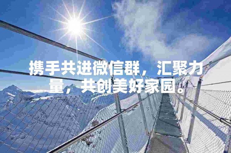 携手共进微信群，汇聚力量，共创美好家园。