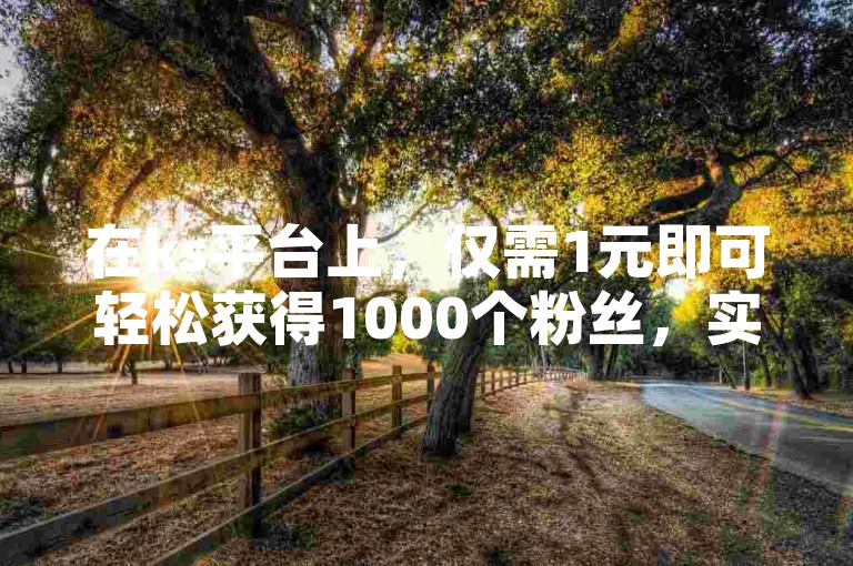 在ks平台上，仅需1元即可轻松获得1000个粉丝，实现粉丝数量的快速增长。