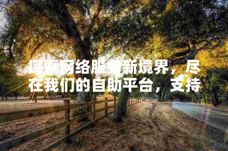 探索网络服务新境界，尽在我们的自助平台，支持QQ支付，快手增粉与抖音业务一键搞定。