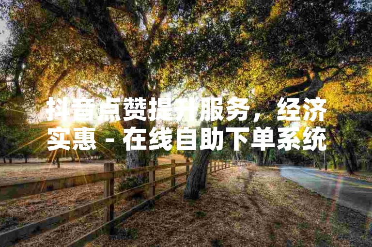抖音点赞提升服务，经济实惠 - 在线自助下单系统便捷操作。