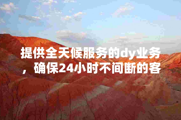 提供全天候服务的dy业务，确保24小时不间断的客户支持。