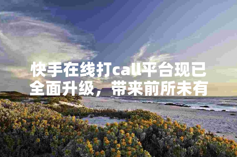 快手在线打call平台现已全面升级，带来前所未有的互动体验。