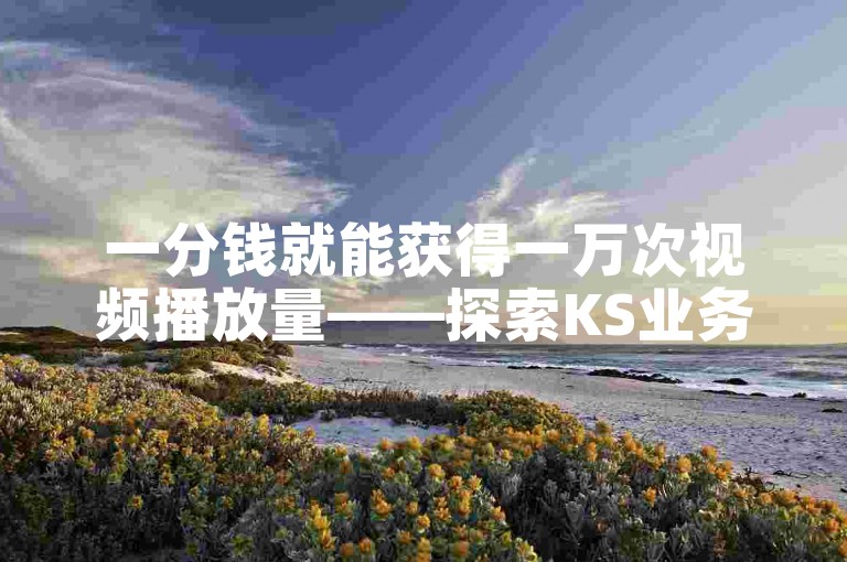 一分钱就能获得一万次视频播放量——探索KS业务下单平台。