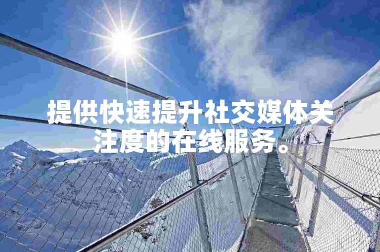 提供快速提升社交媒体关注度的在线服务。