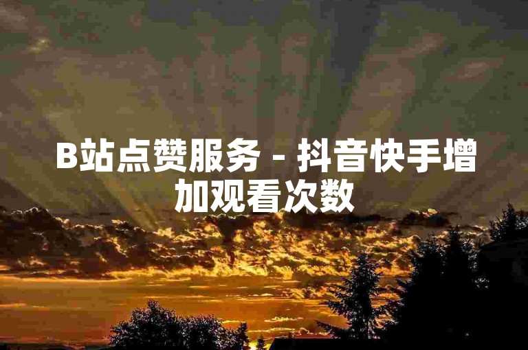 B站点赞服务 - 抖音快手增加观看次数