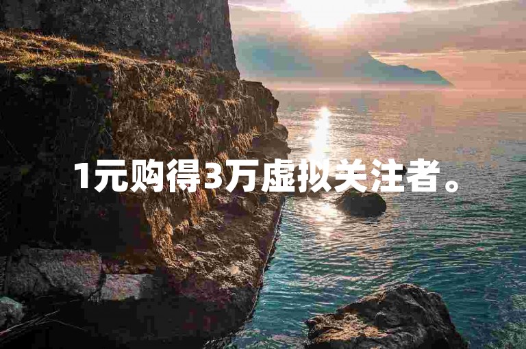 1元购得3万虚拟关注者。