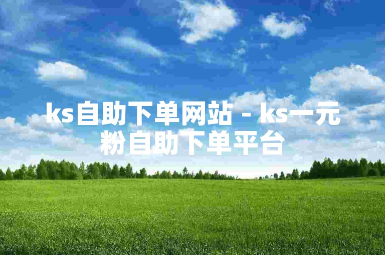 ks自助下单网站 - ks一元粉自助下单平台