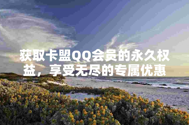 获取卡盟QQ会员的永久权益，享受无尽的专属优惠。